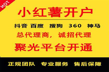 百度品牌专区推广的成效与案例